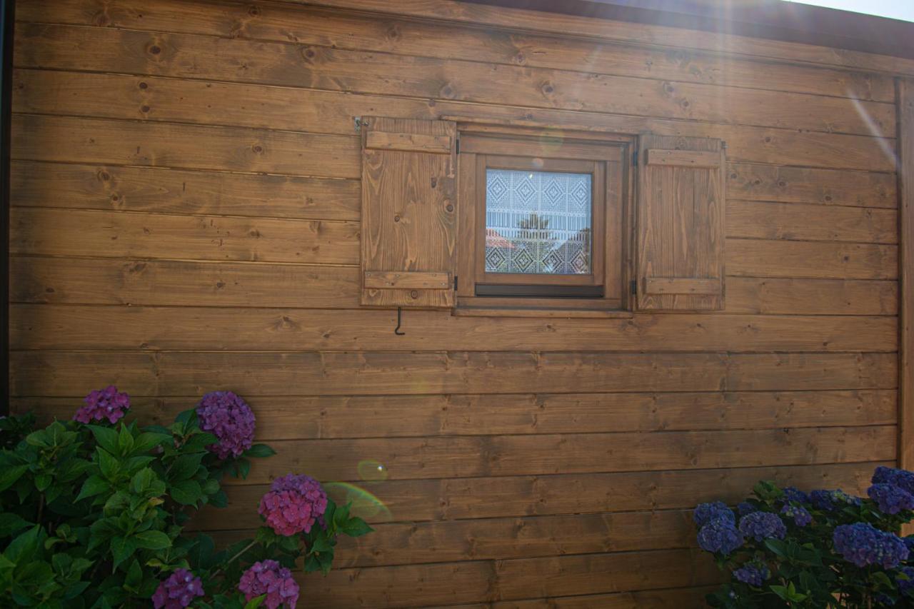 Apartmán Pocitniska Hiska Skedenj Deskle Exteriér fotografie